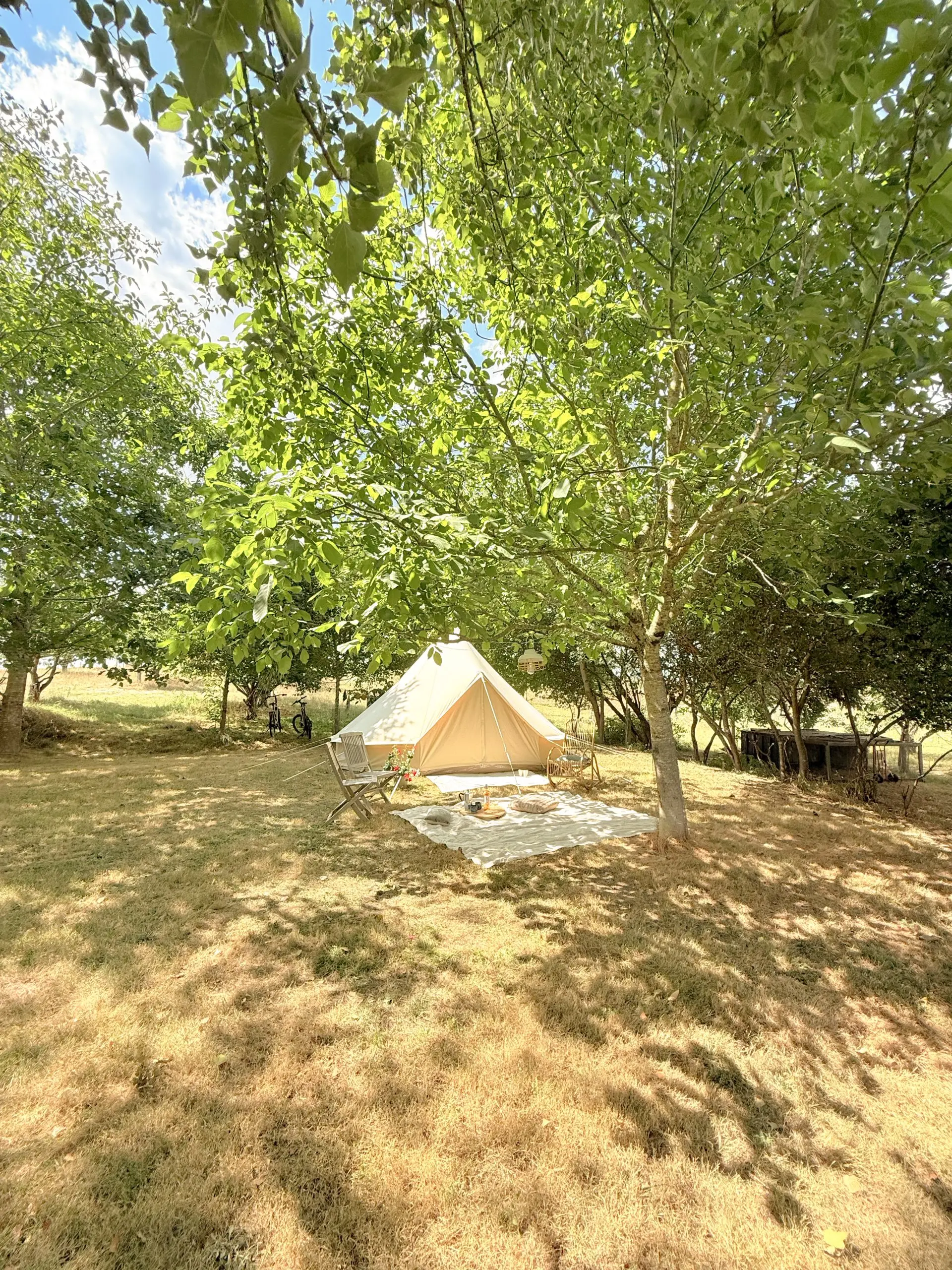 029_Camping-scaled